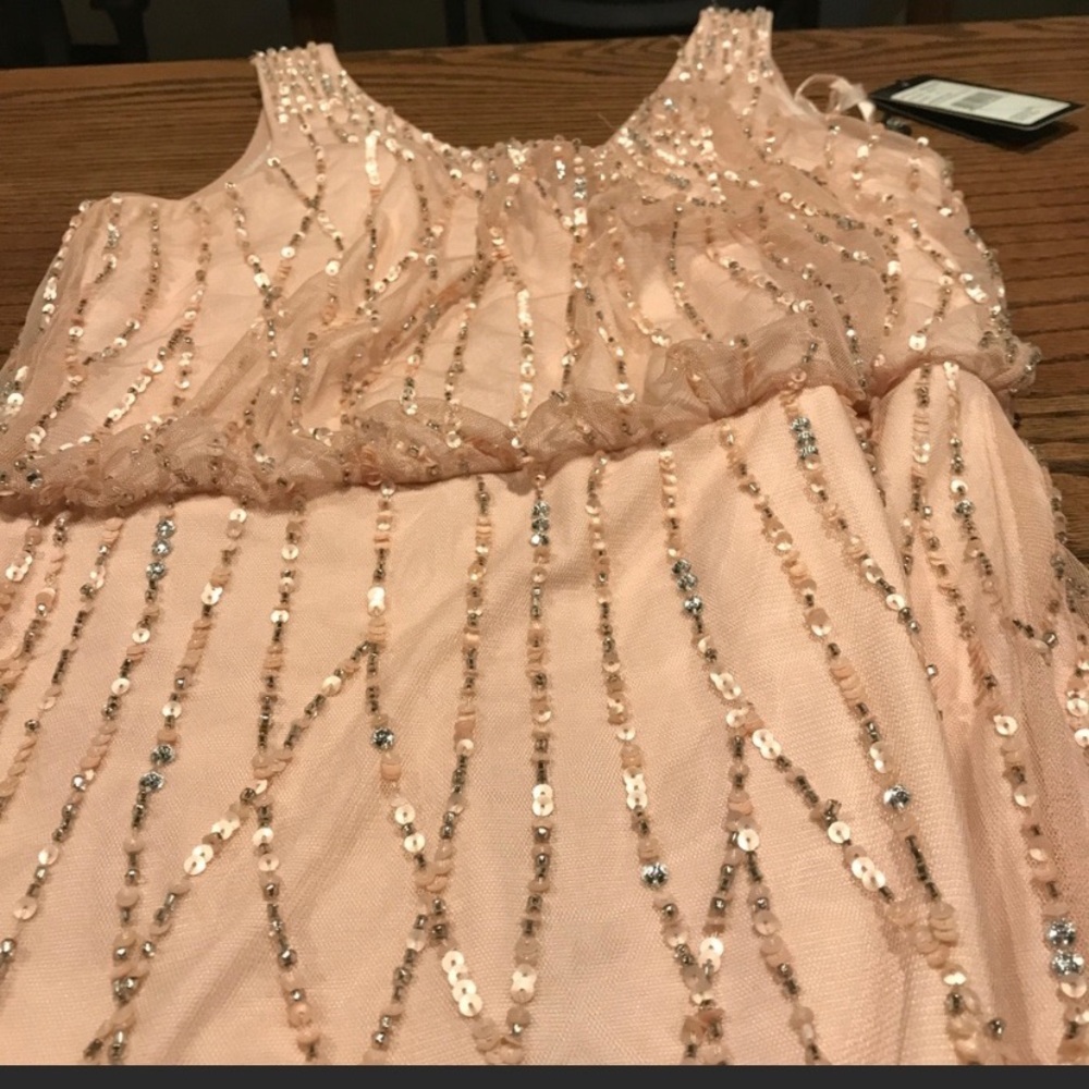 Adrianna Papell Sequin Gown